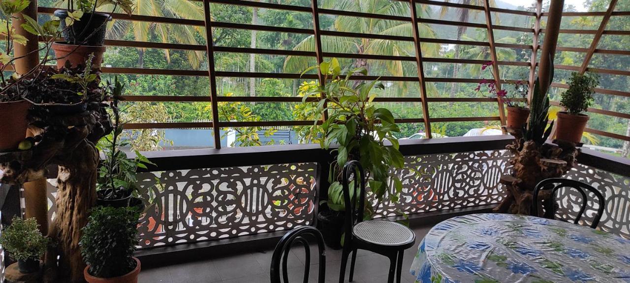 Pepper Valley Resort Kalpatta Extérieur photo