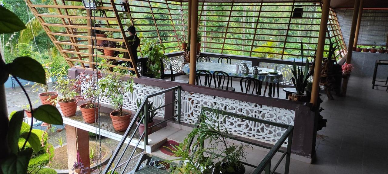 Pepper Valley Resort Kalpatta Extérieur photo