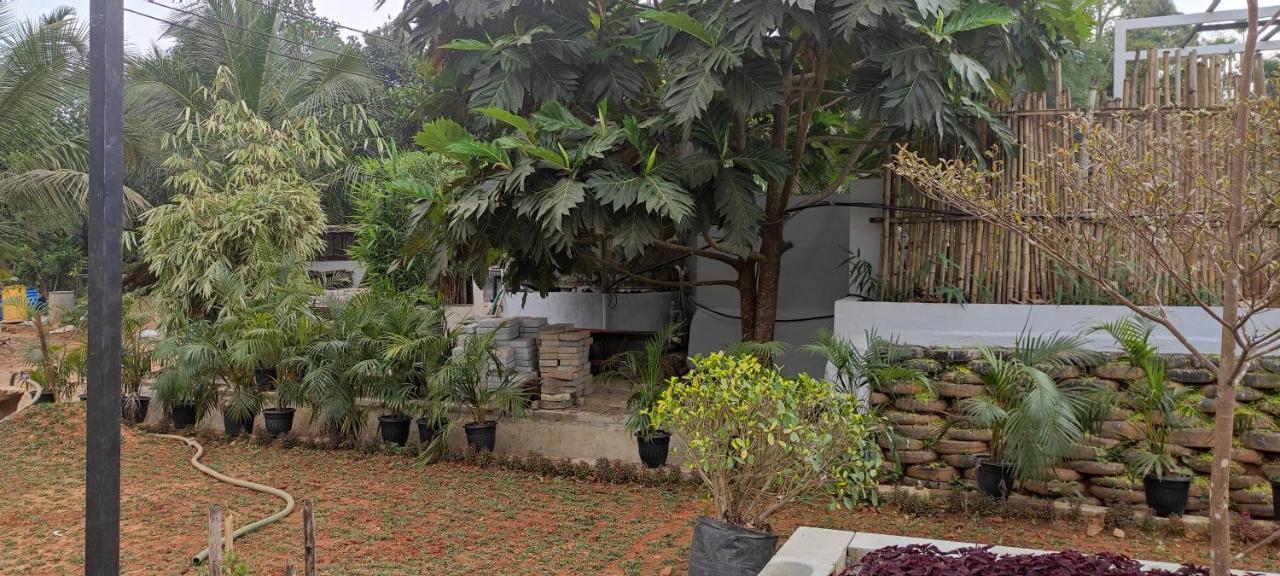 Pepper Valley Resort Kalpatta Extérieur photo