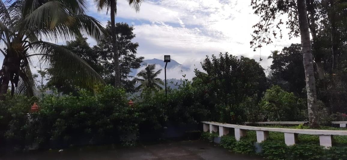 Pepper Valley Resort Kalpatta Extérieur photo